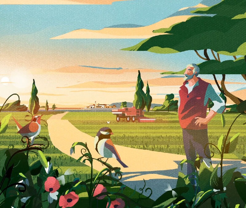 Findus – Animated Illustrations